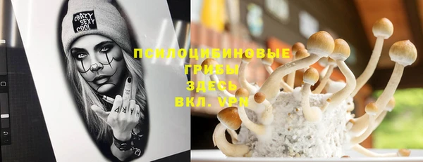 a pvp Алексин
