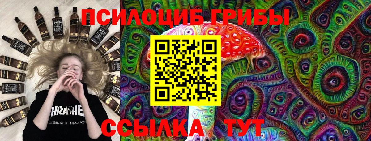 магазин продажи   Псилоцибиновые грибы Psilocybine cubensis  Вход с VPN  Муравленко 