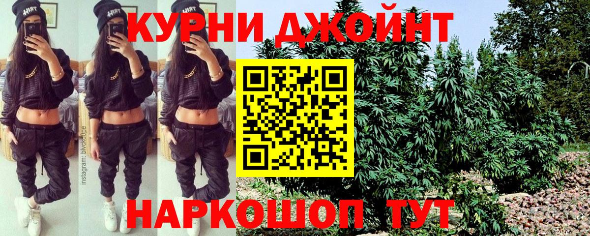 Конопля OG Kush Муравленко